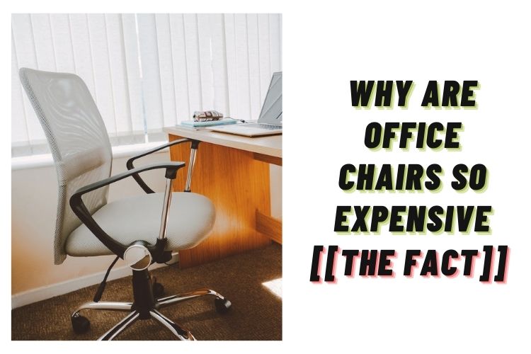 why are office chairs so expensive? (Know the Truth)