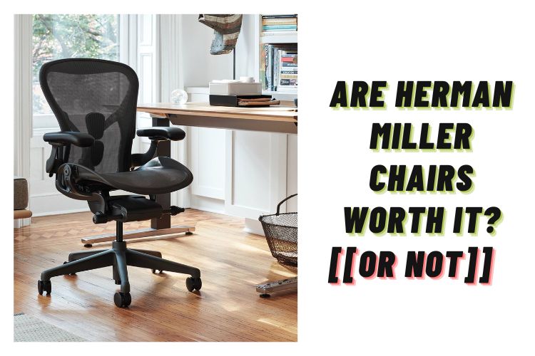 Are Herman Miller chairs worth it for Money? (Or not)