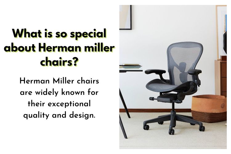 What is so special about Herman miller chairs