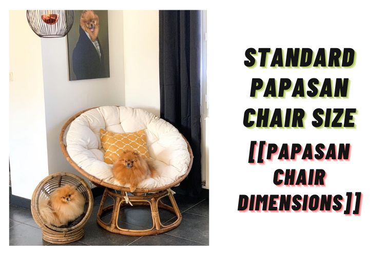 standard Papasan chair size