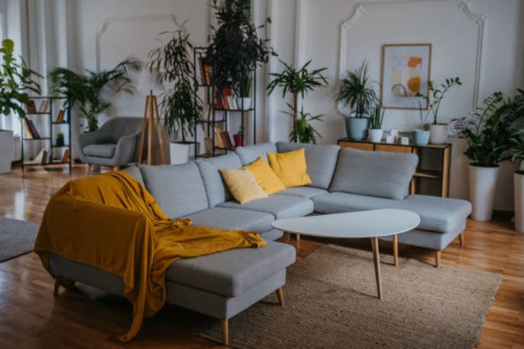 How much does a sectional couch Budget Ranges